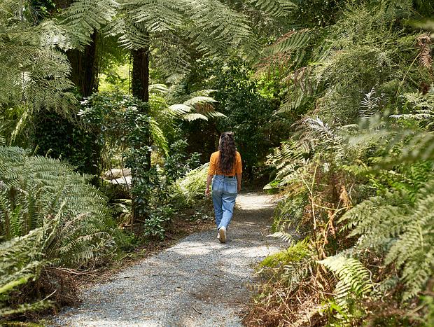 Photo 5 for Dandenong Botanical Gardens