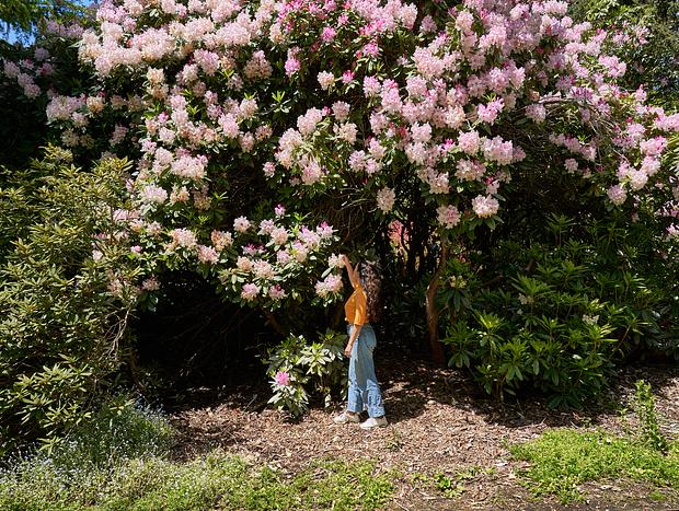 Photo 1 for Dandenong Botanical Gardens