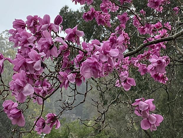 Photo 14 for Romantic Botanica Retreat – A Peaceful Hideaway for Two