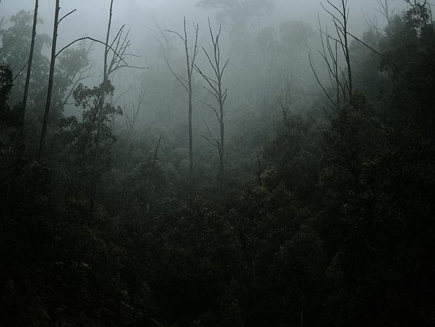 Photo 19 for Lost Near Lothlorien