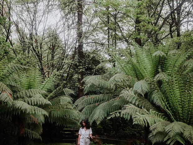 Photo 12 for Lost Near Lothlorien