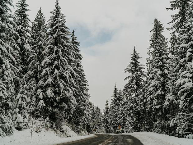Photo 12 for Cozy Snowy Escape to Snowline