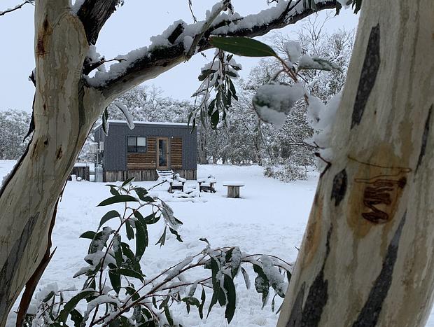 Photo 4 for Big Yard Escapes – Off-grid Tiny House, Bushland