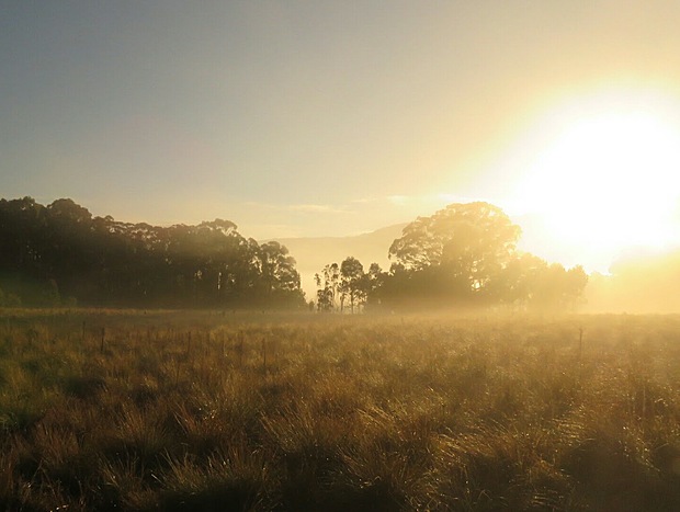 Photo 26 for Potters Studio - 100 Acres of Paradise