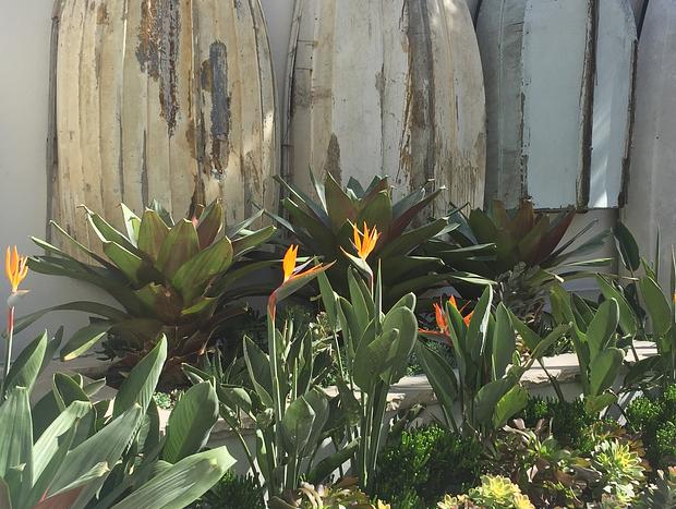 Photo 27 for Ocean Beach cottage@ Umina beach a coastal escape