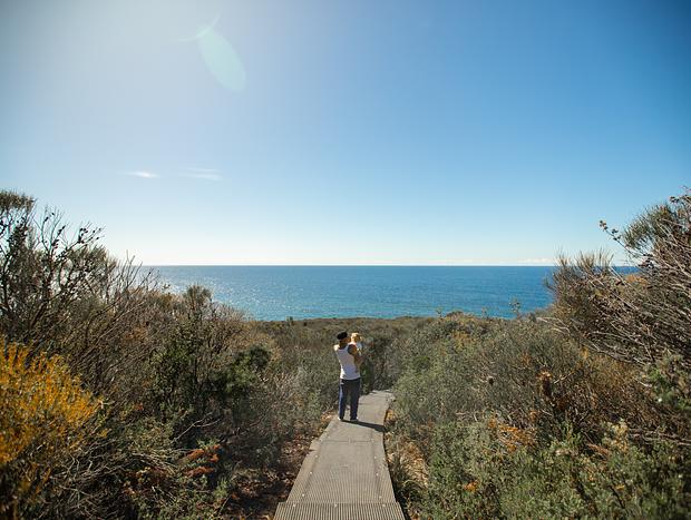 Photo 19 for The Royale of Bundeena