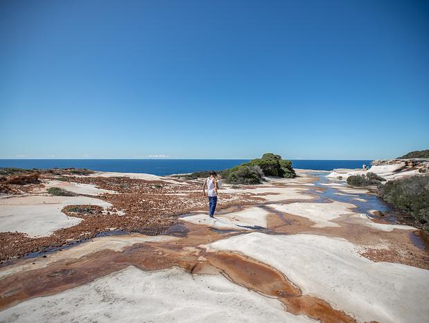Photo 20 for The Royale of Bundeena