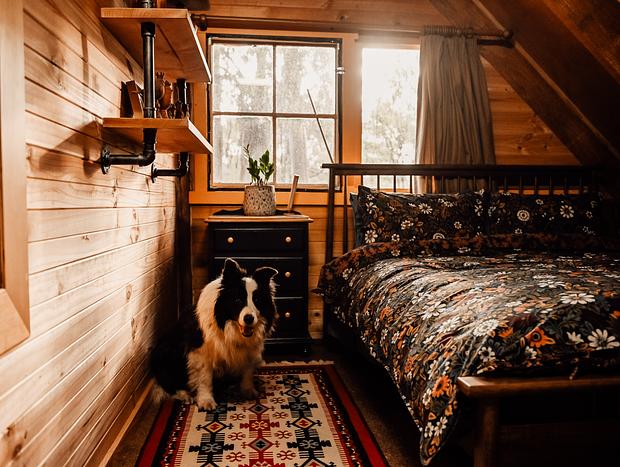 Photo 8 for A Hygge Little Hideaway