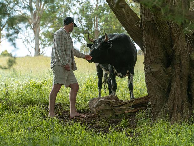 Photo 15 for A peaceful getaway in the heart of West Gippsland