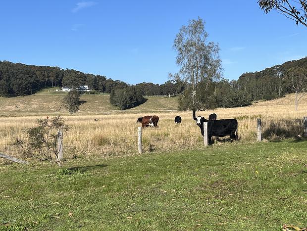 Photo 29 for "Bungaree" - Farm House on The Mainstay, Coastal Farm, holiday and event venue