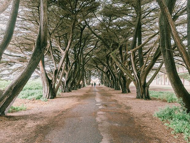Photo 4 for Point Nepean National Park