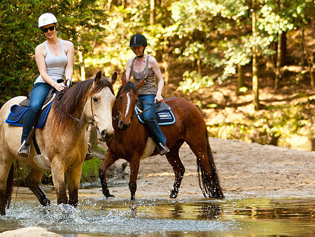 Photo 15 for Camping at Mulla Villa Farm - creek