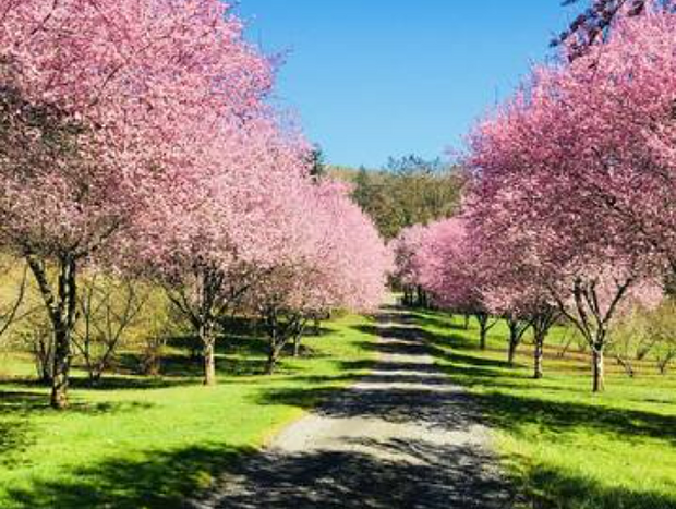 Photo 4 for Wine Country Retreat - 3 bedroom, sleeps 12