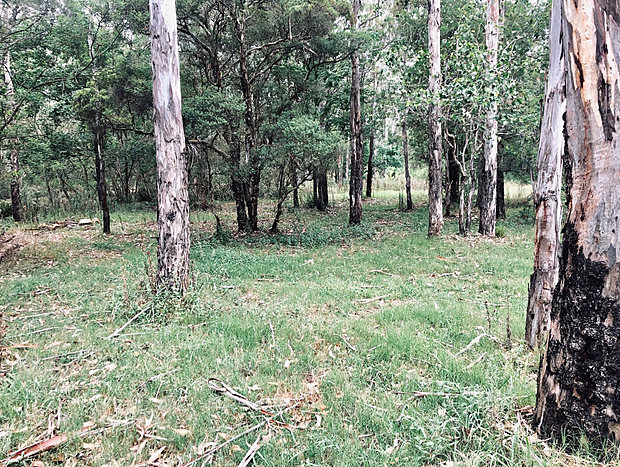 Photo 5 for Camping at Mulla Villa Farm - creek