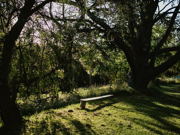 Photo 14 for Quiet Serenity at Ellerslie Cottage
