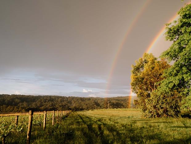 Photo 6 for Luxury vineyard log cabin in Yarra Valley foothills
