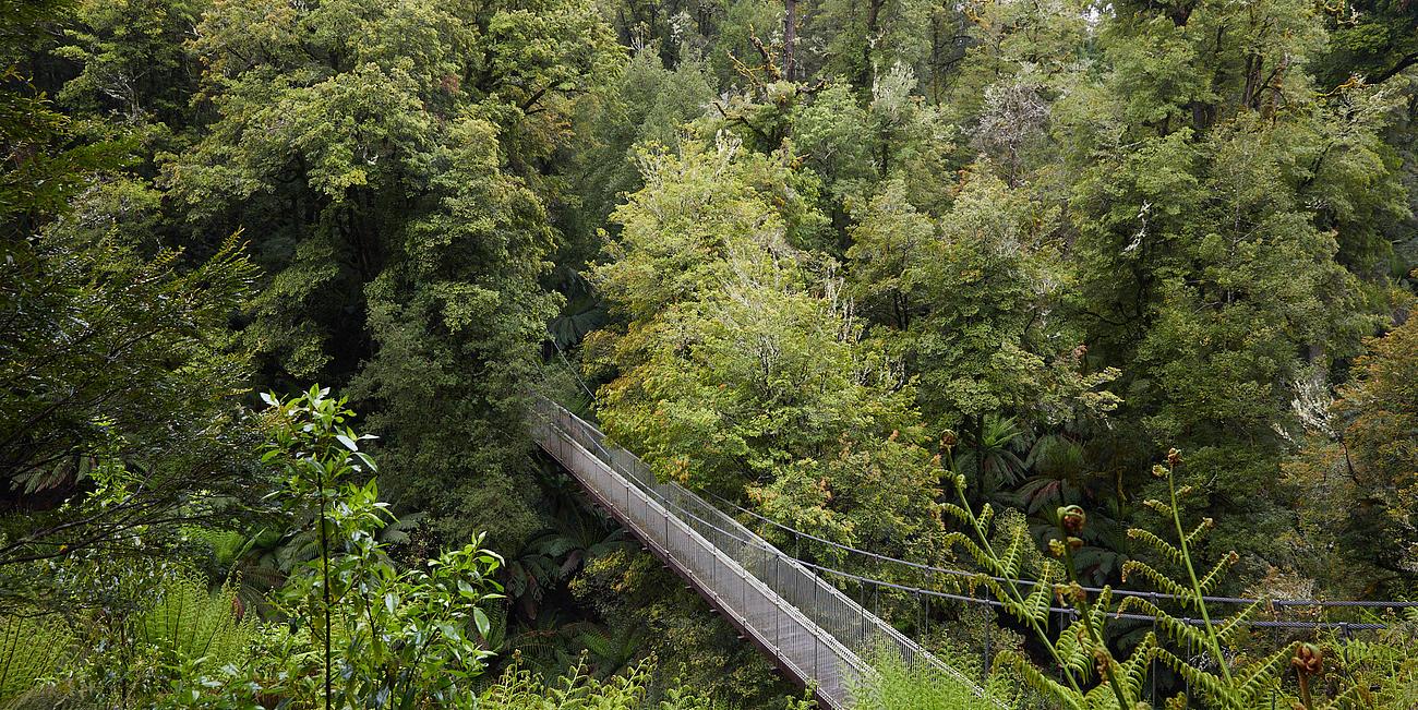 ECLECTICALLY Definition & Meaning - Merriam-Webster