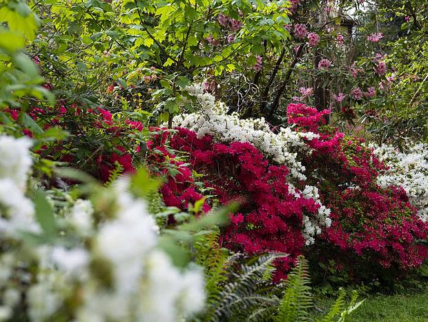 Photo 17 for Romantic Botanica Retreat – A Peaceful Hideaway for Two