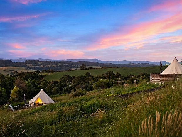Photo 8 for Green Grocer Bell Tent