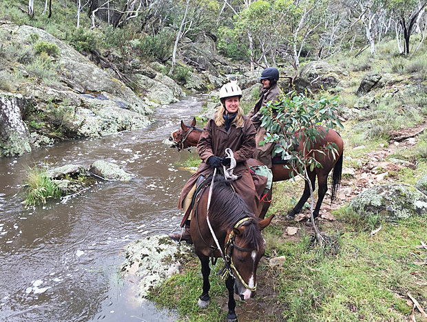 Horse Ride the Snowy Mountains High Country