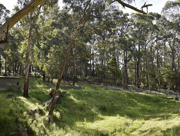 Photo 27 for Harberts Lodge Yarra Valley