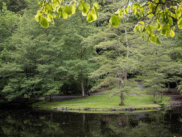 Photo 3 for Te Koutu Lake (aka Lake Te Koo Utu)