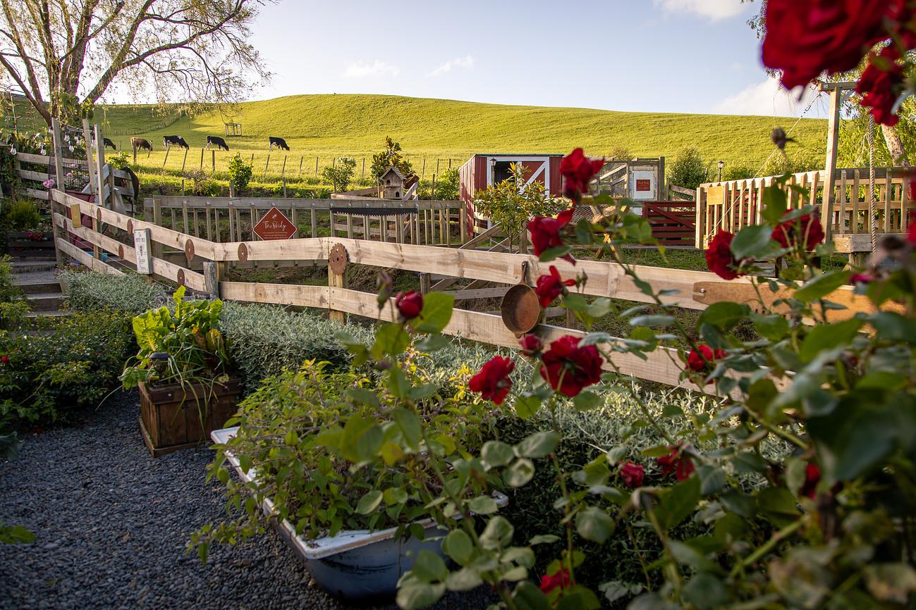 Go foraging for homegrown goodness | Riparide