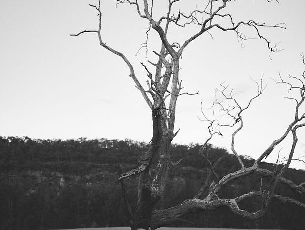Photo 33 for Berry Hill - Hawkesbury Riverfront Homestead
