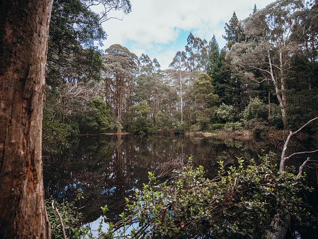 Photo 2 for Sanatorium Lake Walk