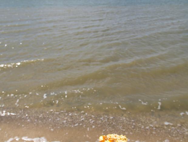 Photo 19 for The Quintessential Kiwi Beach Escape