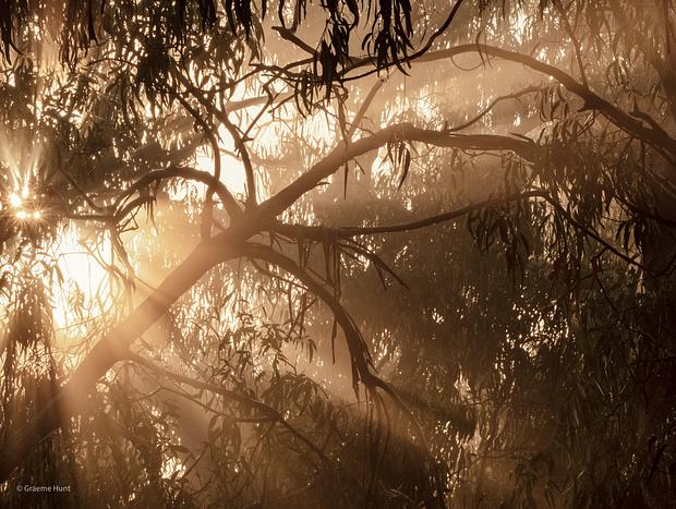 Photo 26 for The Barn - 5 acres of Idyllic Bushland With Views
