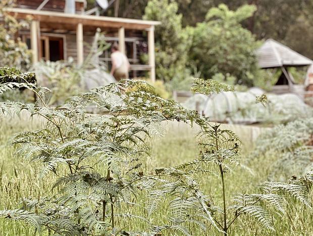 Photo 35 for The Barn - 5 acres of Idyllic Bushland With Views