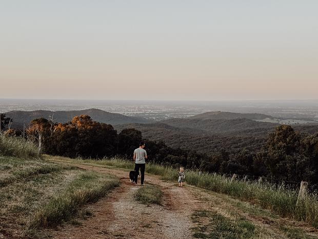 Photo 16 for King Valley Dreaming