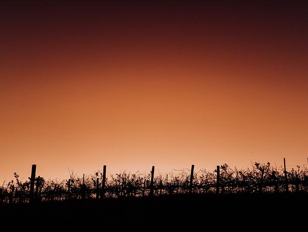 Photo 17 for King Valley Dreaming