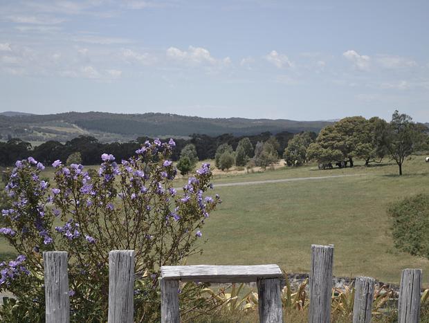 Photo 22 for Raglan Retreat - Peaceful Mountainside Views