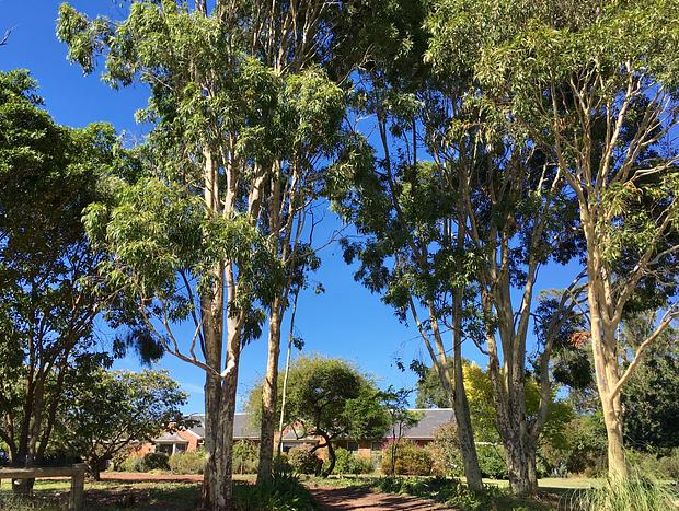 Photo 5 for Panoramic Otway Views Farm