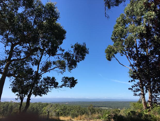 Photo 9 for Panoramic Otway Views Farm
