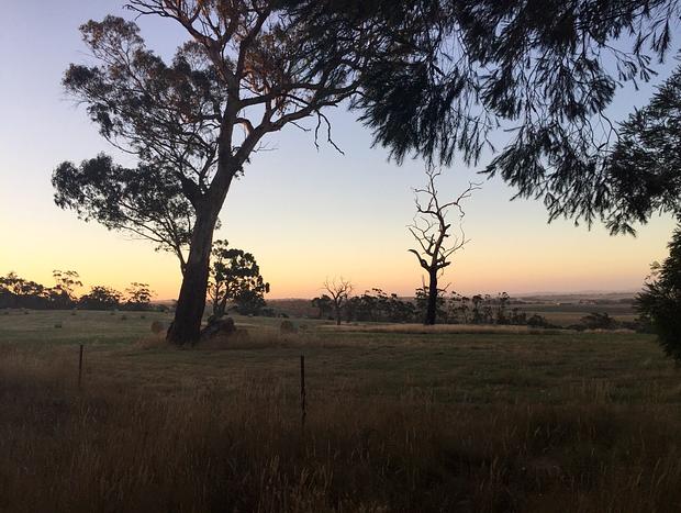 Photo 10 for Panoramic Otway Views Farm
