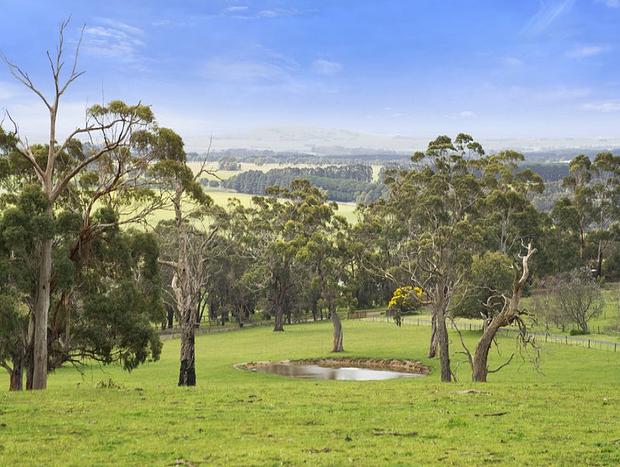 Photo 12 for Panoramic Otway Views Farm