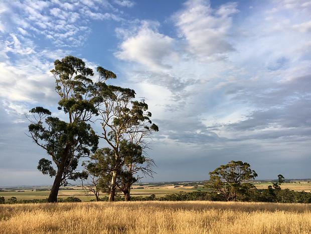 Photo 17 for Panoramic Otway Views Farm