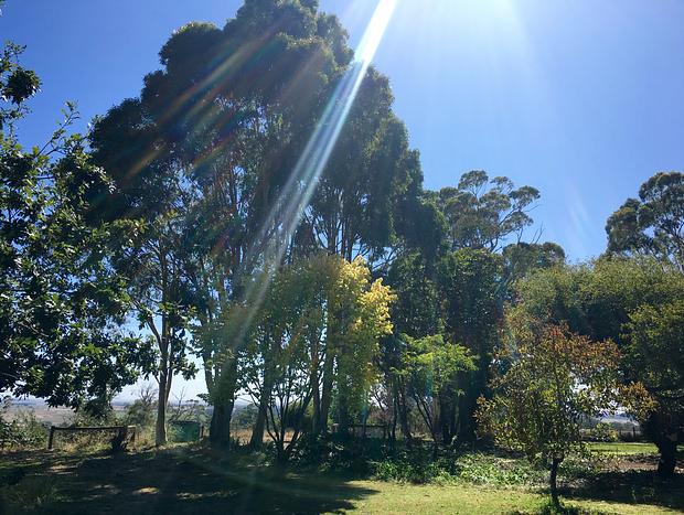 Photo 20 for Panoramic Otway Views Farm