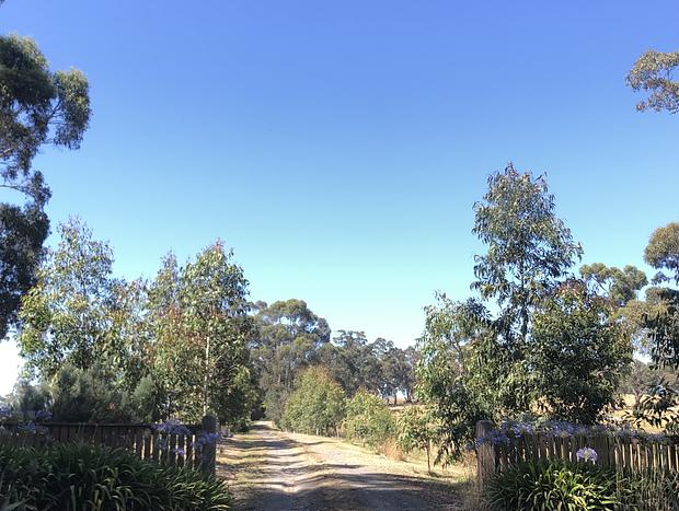 Photo 18 for Panoramic Otway Views Farm