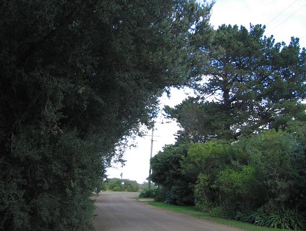 Photo 4 for Lower Bluff Hideaway