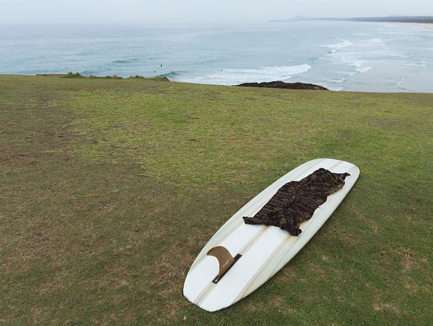 Photo 5 for Surfing with dolphins at Sawtell