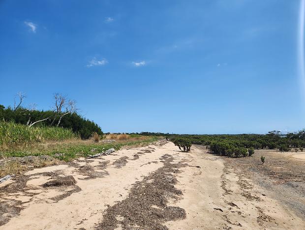 Photo 14 for Tiny house on the beach near Phillip Island
