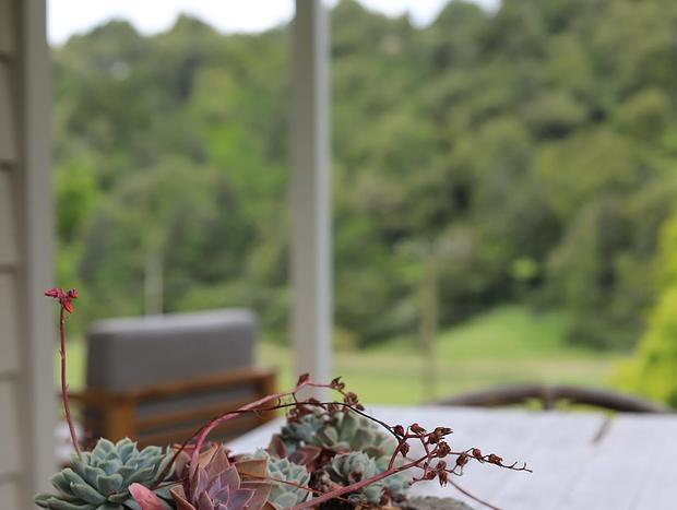 Photo 19 for Tui Ridge Homestay