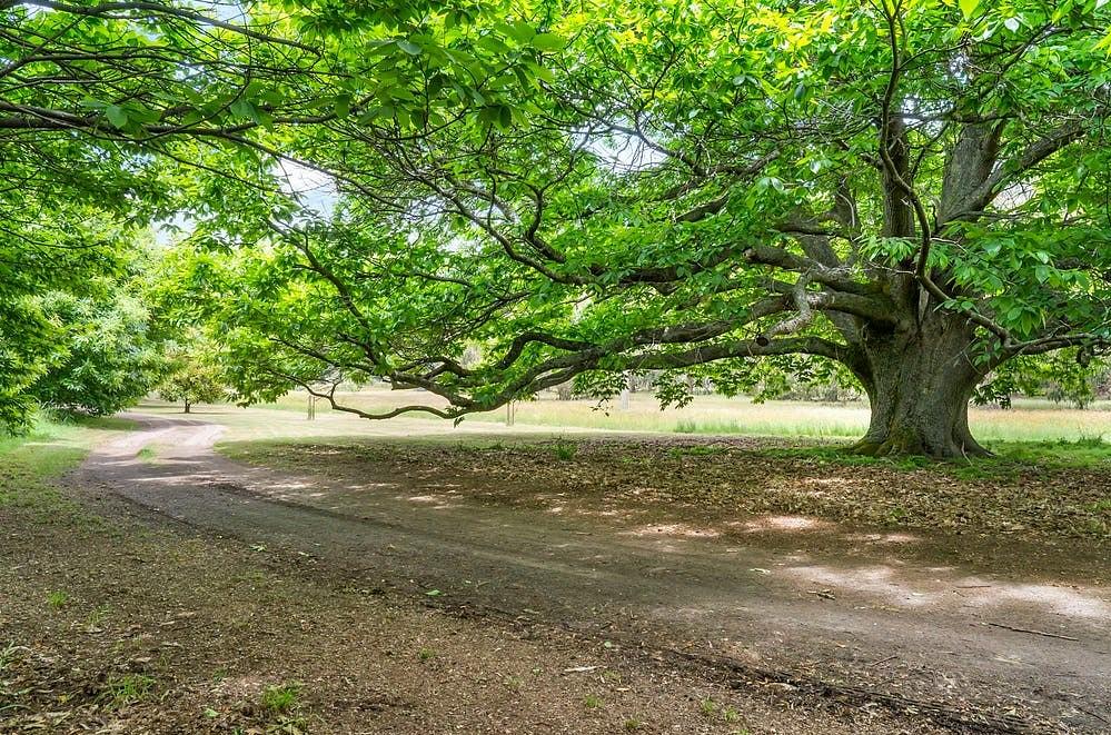 Hiraeth Farm 'Strathbogie' Nature Haven (house & camping available