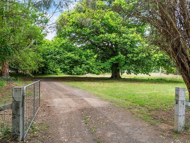 Photo 16 for Hiraeth Farm - 'Strathbogie' Nature Haven (house & camping available)