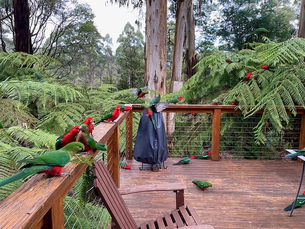 Photo 7 for Timber Top Lodge - unwind in a forest retreat