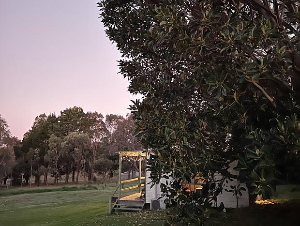 Photo 30 for Ficus Cabin- Under the Morton Bay